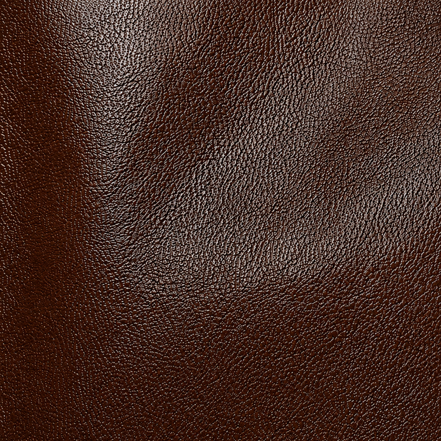 Belle Rivière Handbag